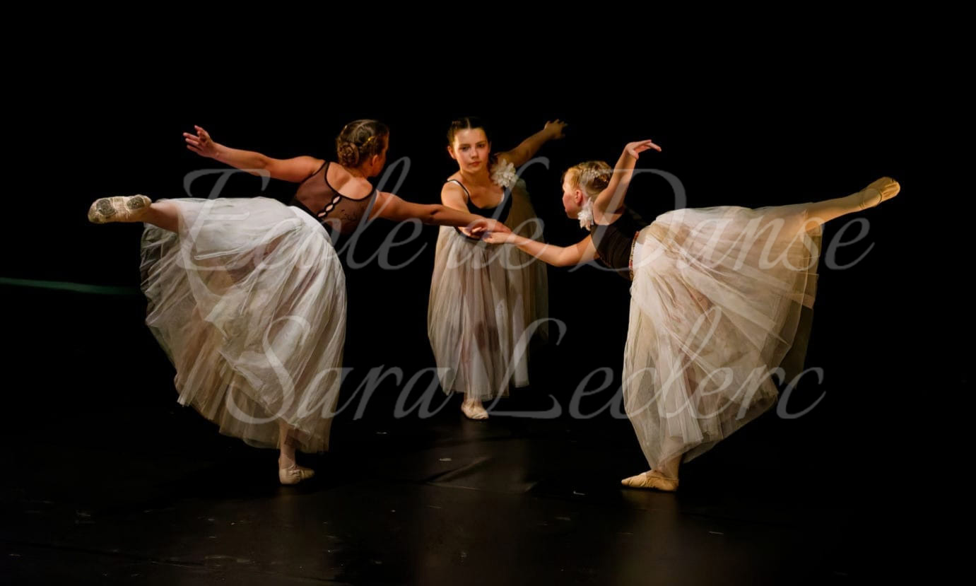2026_14_image14.jpg