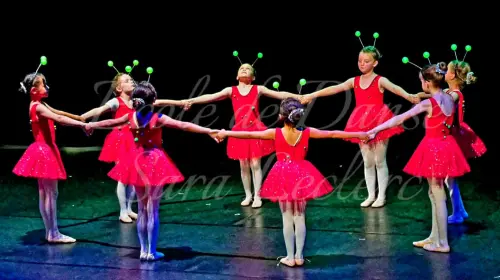 2026_7_image20.jpg